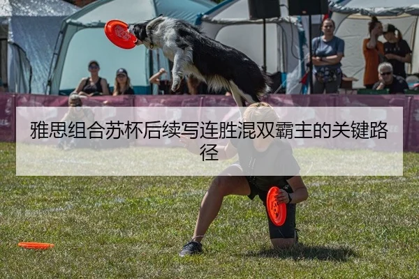 雅思组合苏杯后续写连胜混双霸主的关键路径